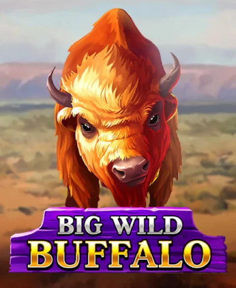 Play Big Wild Buffalo at Samosa Casino